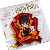 Harry Potter Magnetic Pins