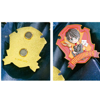 Harry Potter Magnetic Pins