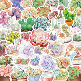 Succulents That Dont Need Sun Stickers